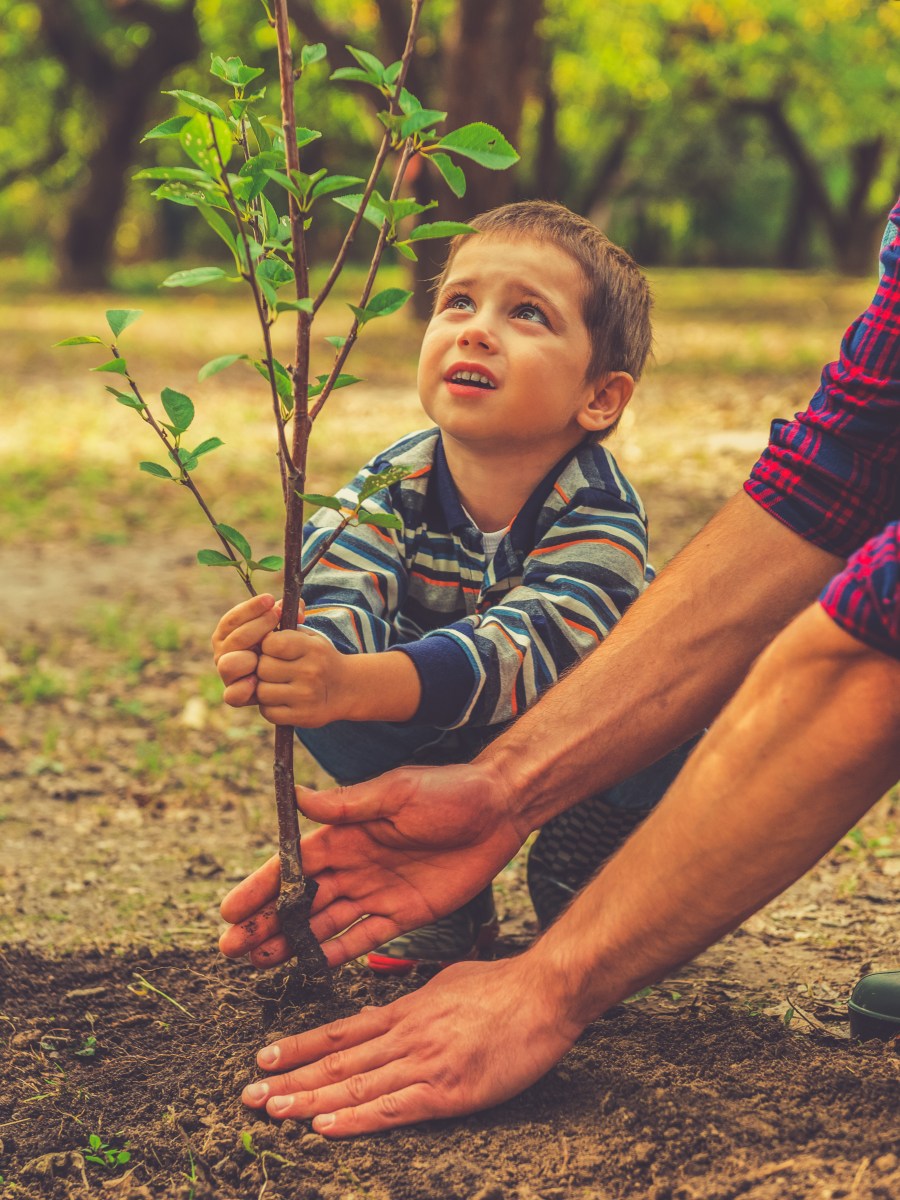 Six Times your Family Absolutely Needs a&nbsp;Will