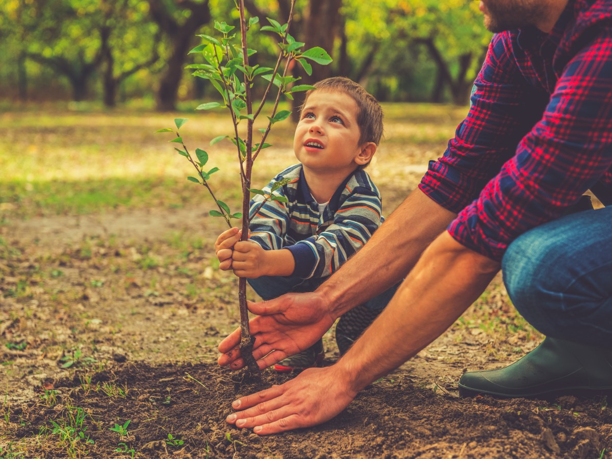 Six Times your Family Absolutely Needs a&nbsp;Will